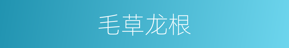 毛草龙根的同义词