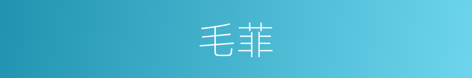 毛菲的同义词