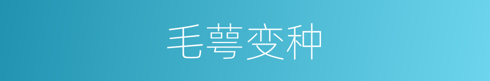 毛萼变种的同义词