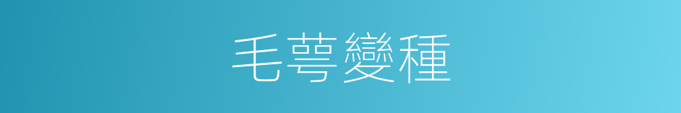 毛萼變種的同義詞