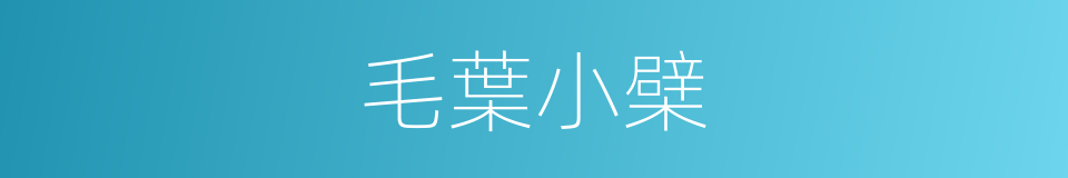 毛葉小檗的同義詞