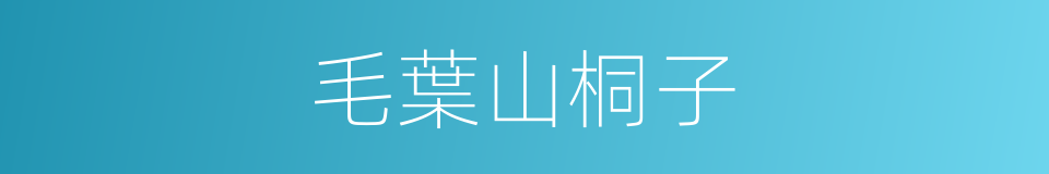 毛葉山桐子的同義詞