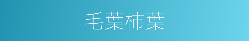 毛葉柿葉的同義詞
