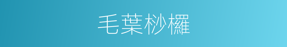 毛葉桫欏的同義詞