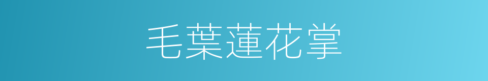 毛葉蓮花掌的同義詞