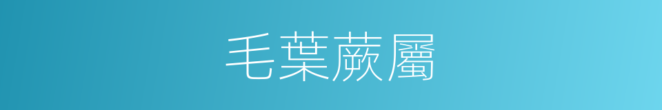 毛葉蕨屬的同義詞
