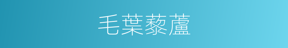 毛葉藜蘆的同義詞