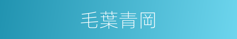 毛葉青岡的同義詞