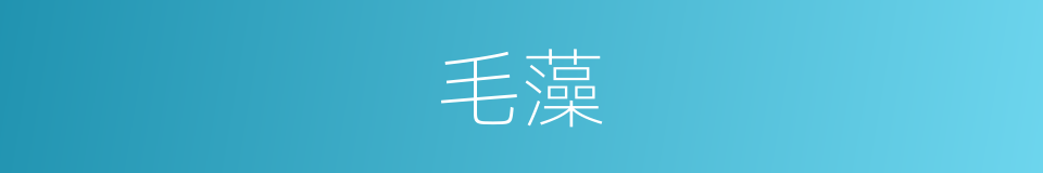 毛藻的同义词