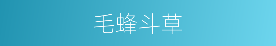 毛蜂斗草的同义词