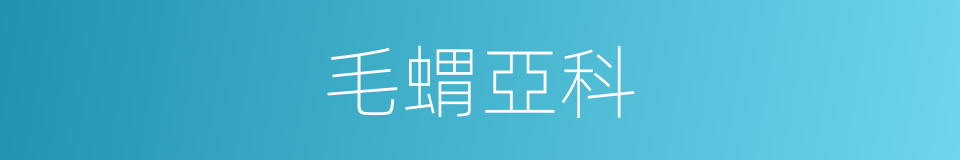 毛蝟亞科的同義詞