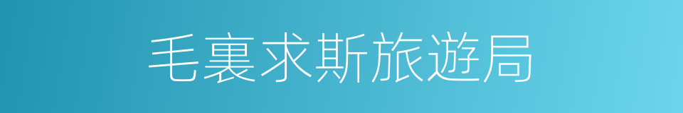 毛裏求斯旅遊局的同義詞