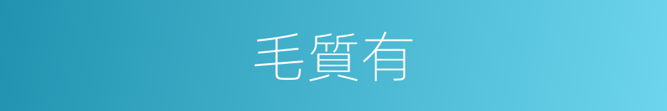 毛質有的同義詞