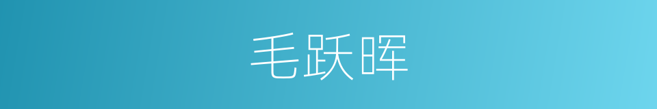 毛跃晖的同义词