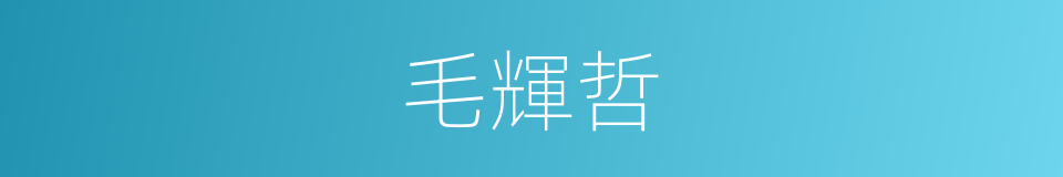 毛輝哲的同義詞