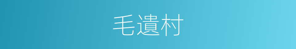 毛遺村的同義詞