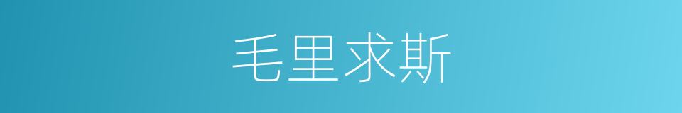 毛里求斯的意思