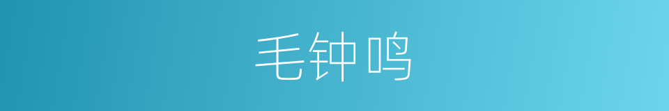 毛钟鸣的同义词