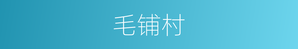 毛铺村的同义词