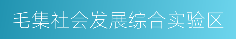 毛集社会发展综合实验区的同义词