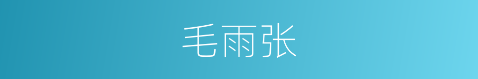 毛雨张的同义词