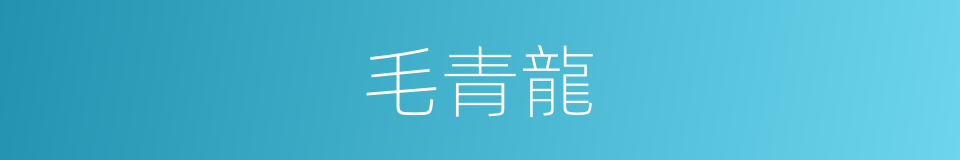 毛青龍的同義詞
