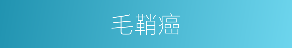 毛鞘癌的同义词