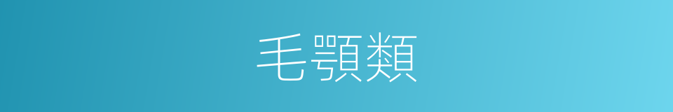 毛顎類的同義詞