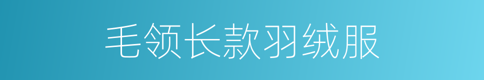 毛领长款羽绒服的同义词
