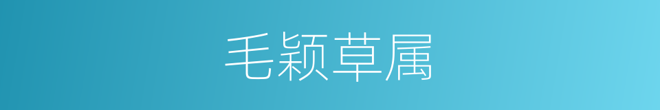 毛颖草属的同义词