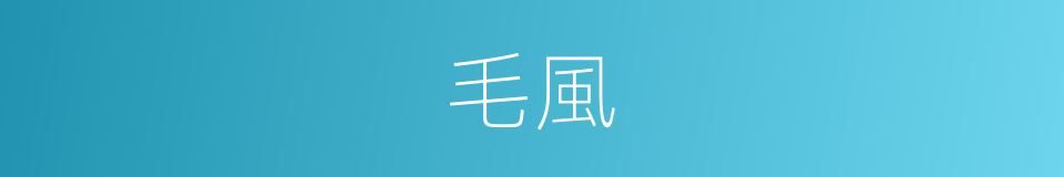 毛風的同義詞