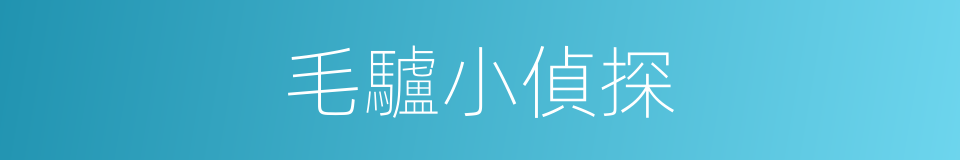 毛驢小偵探的同義詞