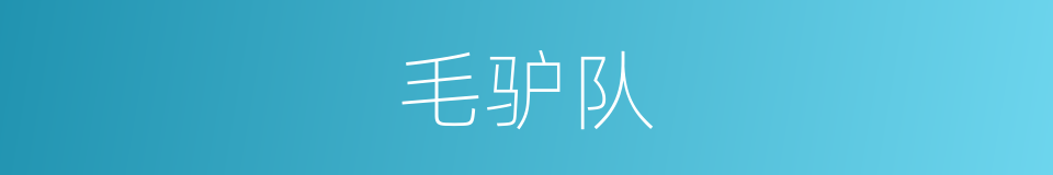 毛驴队的同义词