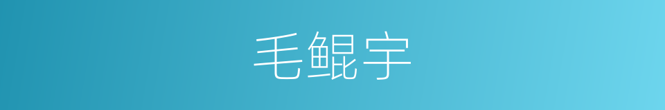 毛鲲宇的同义词