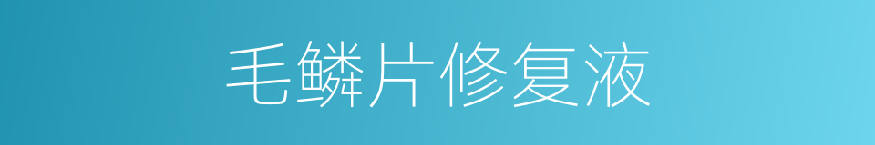 毛鳞片修复液的同义词