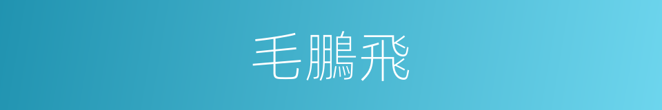 毛鵬飛的同義詞