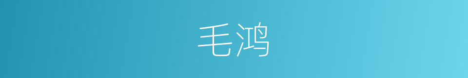 毛鸿的同义词