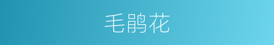 毛鹃花的同义词
