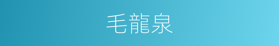 毛龍泉的同義詞