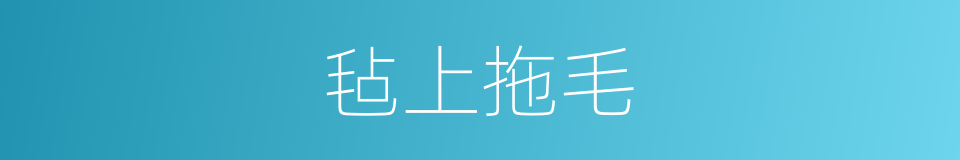 毡上拖毛的同义词
