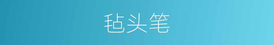 毡头笔的同义词