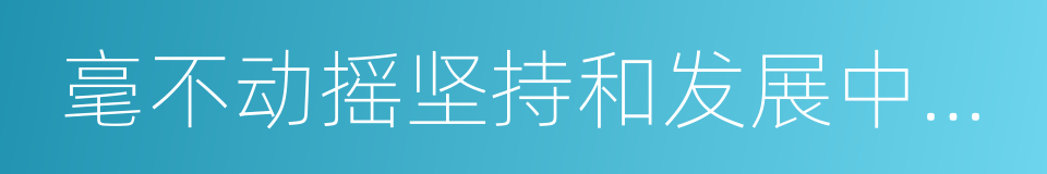 毫不动摇坚持和发展中国特色社会主义的同义词