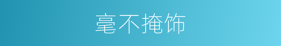 毫不掩饰的意思