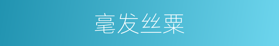 毫发丝粟的意思