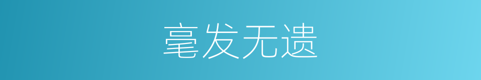 毫发无遗的意思