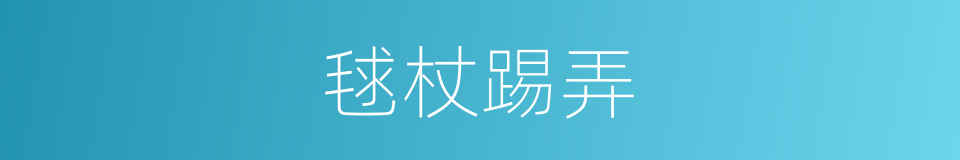 毬杖踢弄的意思
