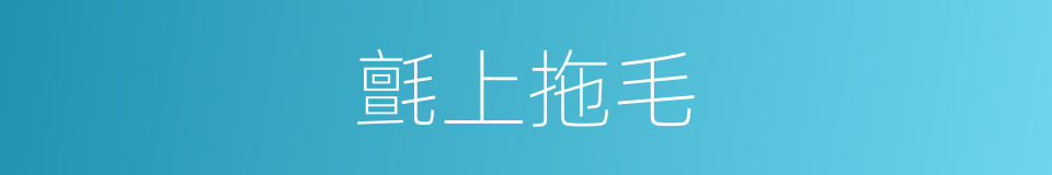 氈上拖毛的同義詞