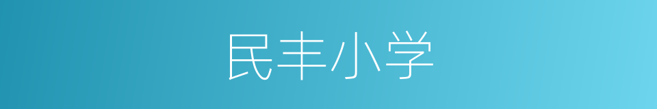 民丰小学的同义词