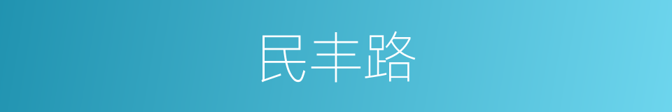 民丰路的同义词