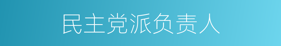 民主党派负责人的同义词